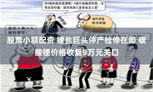 股票小额配资 锂盐巨头停产检修在即 碳酸锂价格收复9万元关口