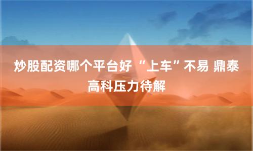炒股配资哪个平台好 “上车”不易 鼎泰高科压力待解