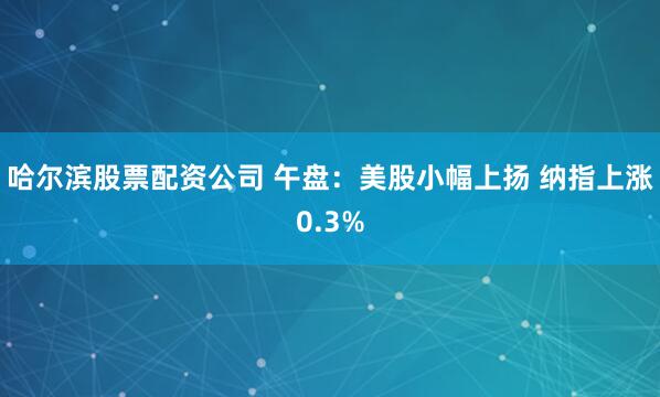 哈尔滨股票配资公司 午盘:美股小幅上扬 纳指上涨0.3%